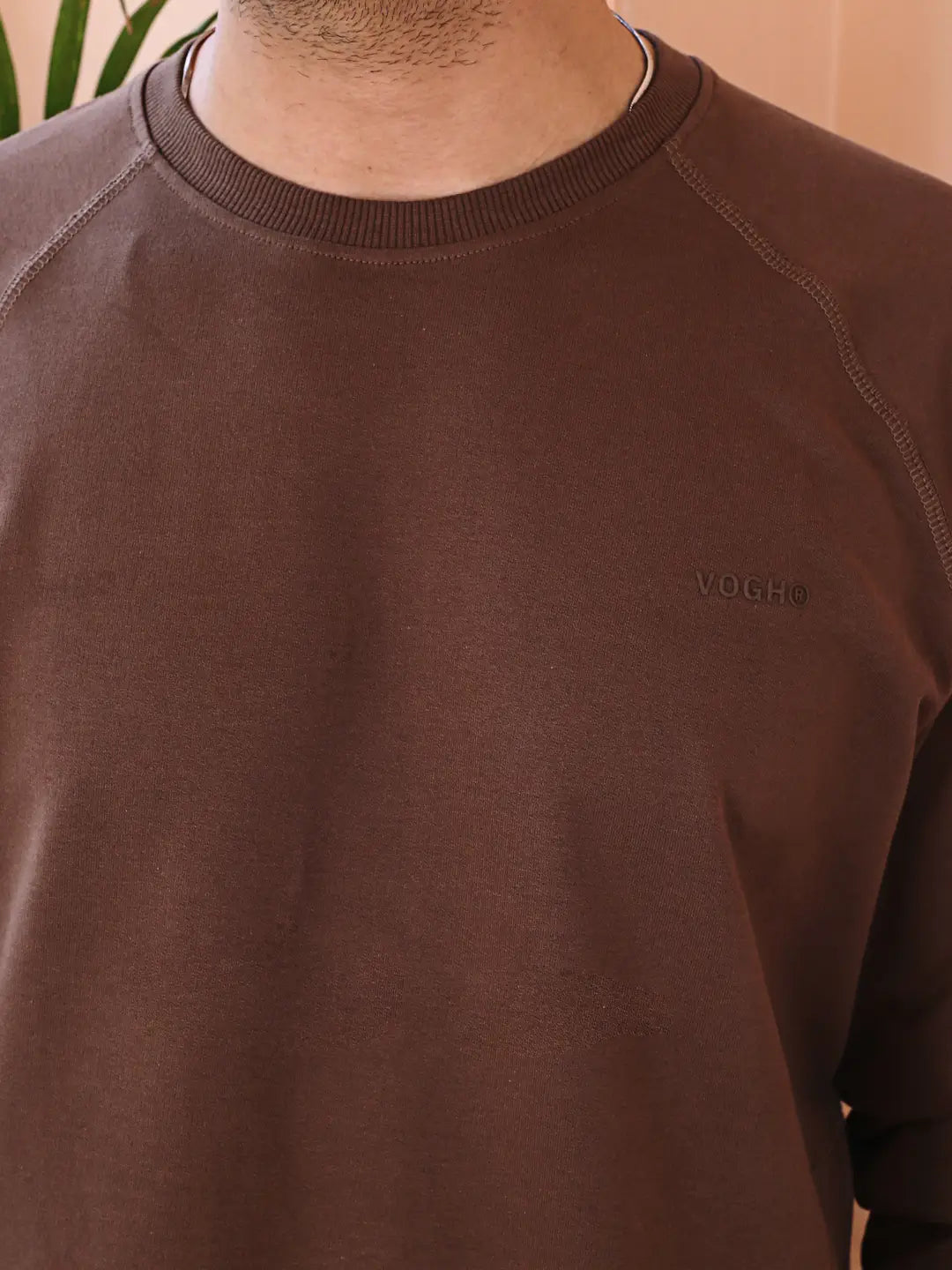 Brown sweatshirt for men